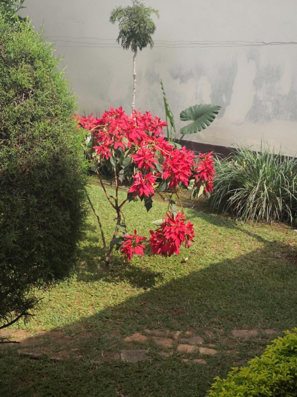 Joli Jardin En Ville Yaoundé Exterior foto